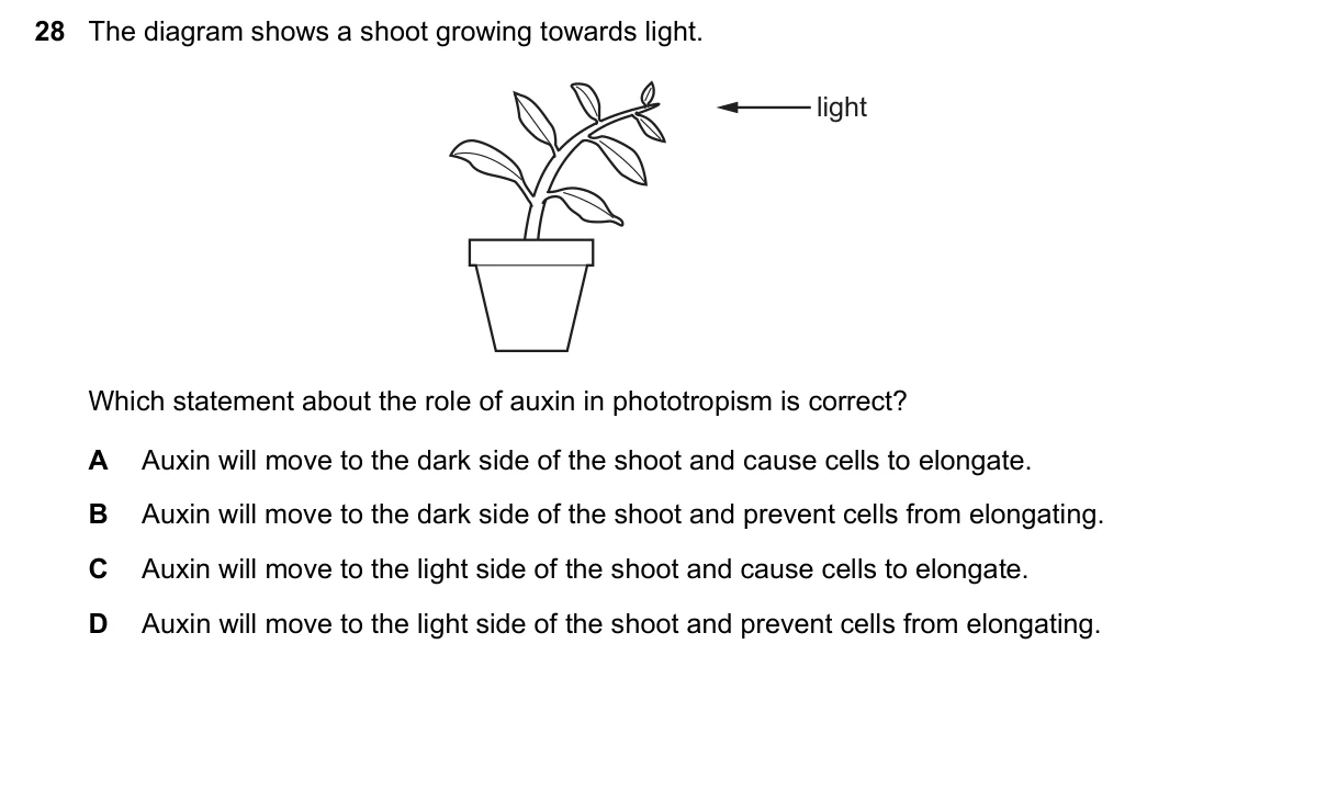 Question 28, March 2020, 0610 Paper 22