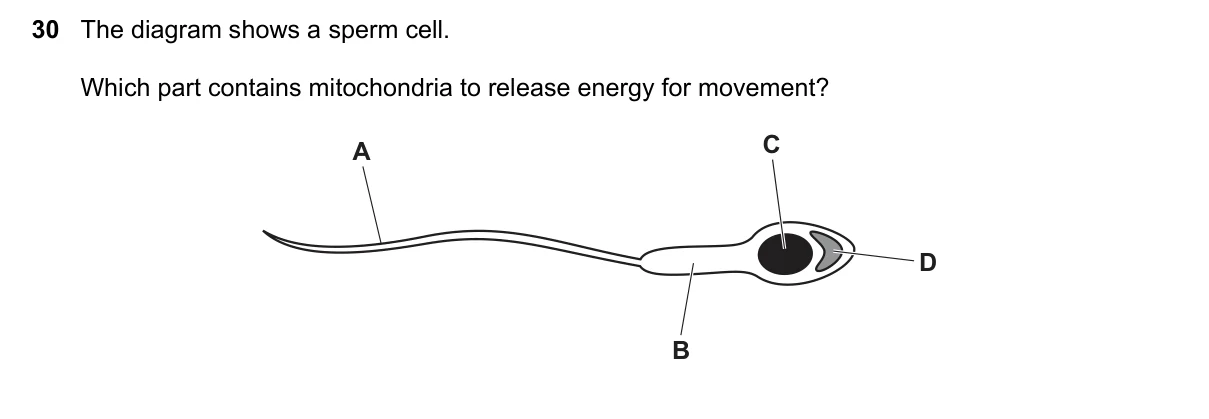 Question 30, March 2020, 0610 Paper 22