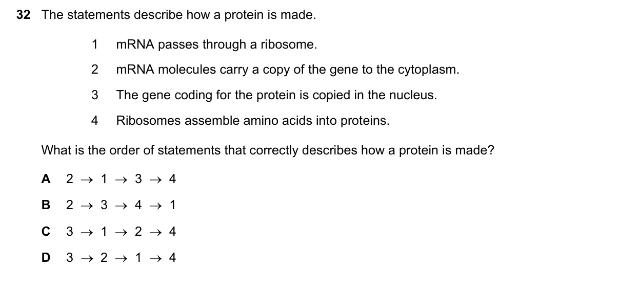 Question 32, March 2020, 0610 Paper 22