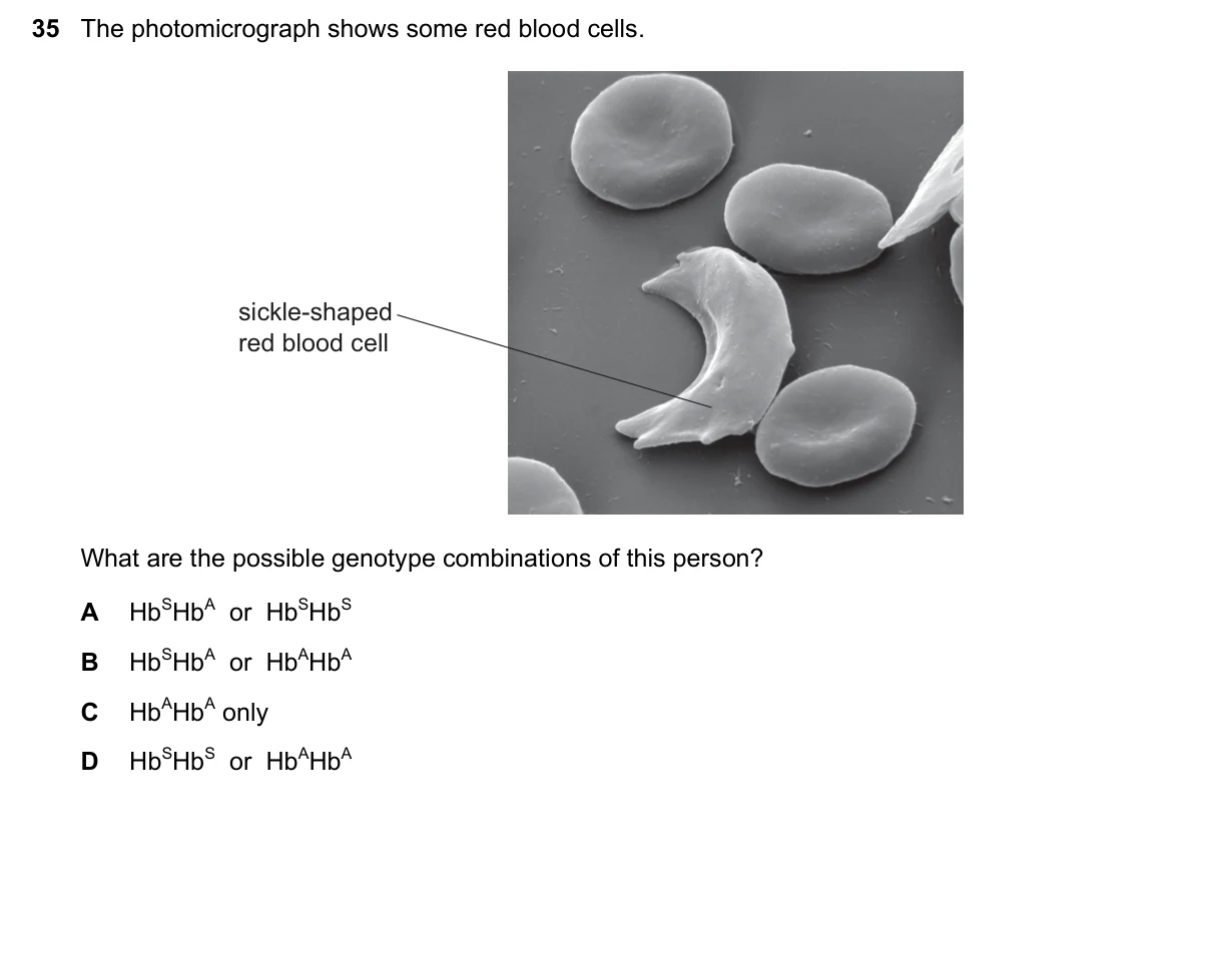 Question 35, March 2020, 0610 Paper 22