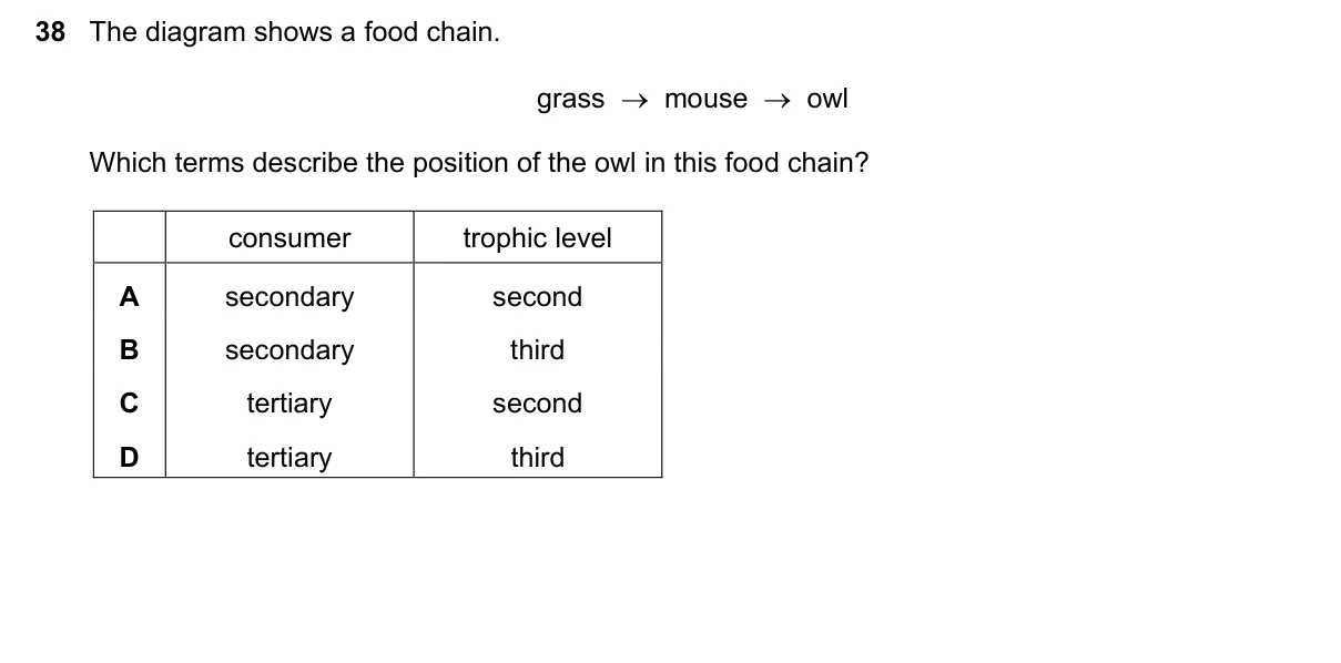 Question 38, March 2020, 0610 Paper 22