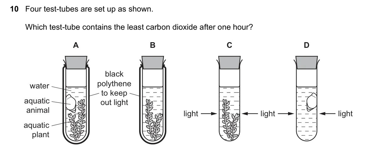 Question 10, June 2020, 0610 Paper 11