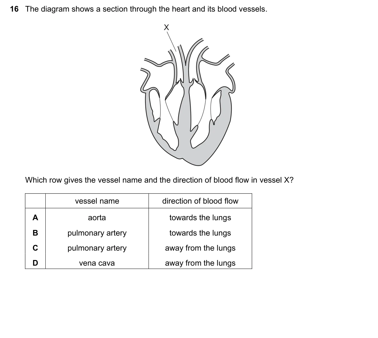 Question 16, June 2020, 0610 Paper 11