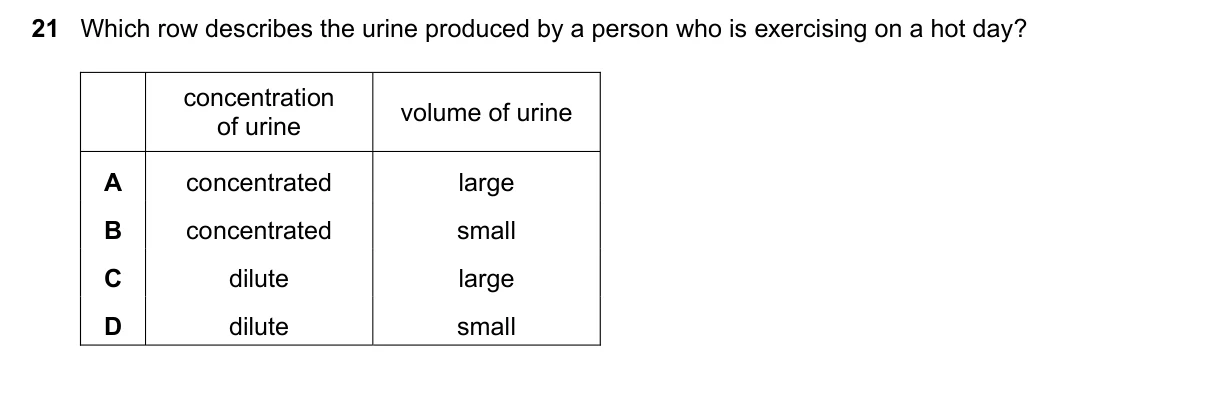 Question 21, June 2020, 0610 Paper 11