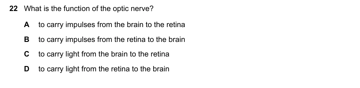 Question 22, June 2020, 0610 Paper 11