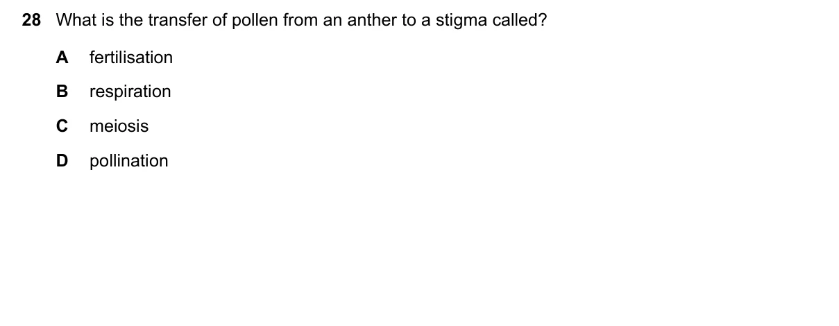 Question 28, June 2020, 0610 Paper 11