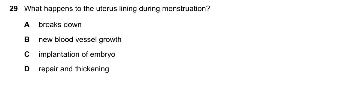 Question 29, June 2020, 0610 Paper 11