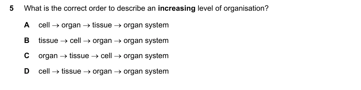 Question 5, June 2020, 0610 Paper 11