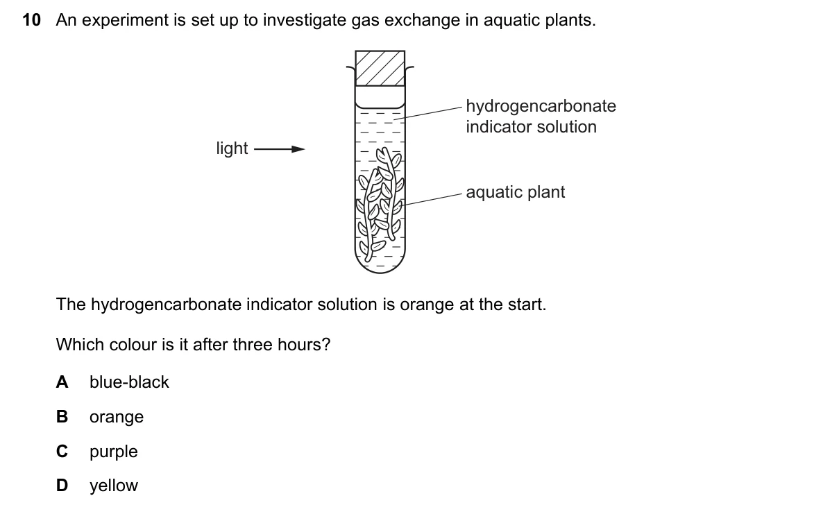 Question 10, June 2020, 0610 Paper 21
