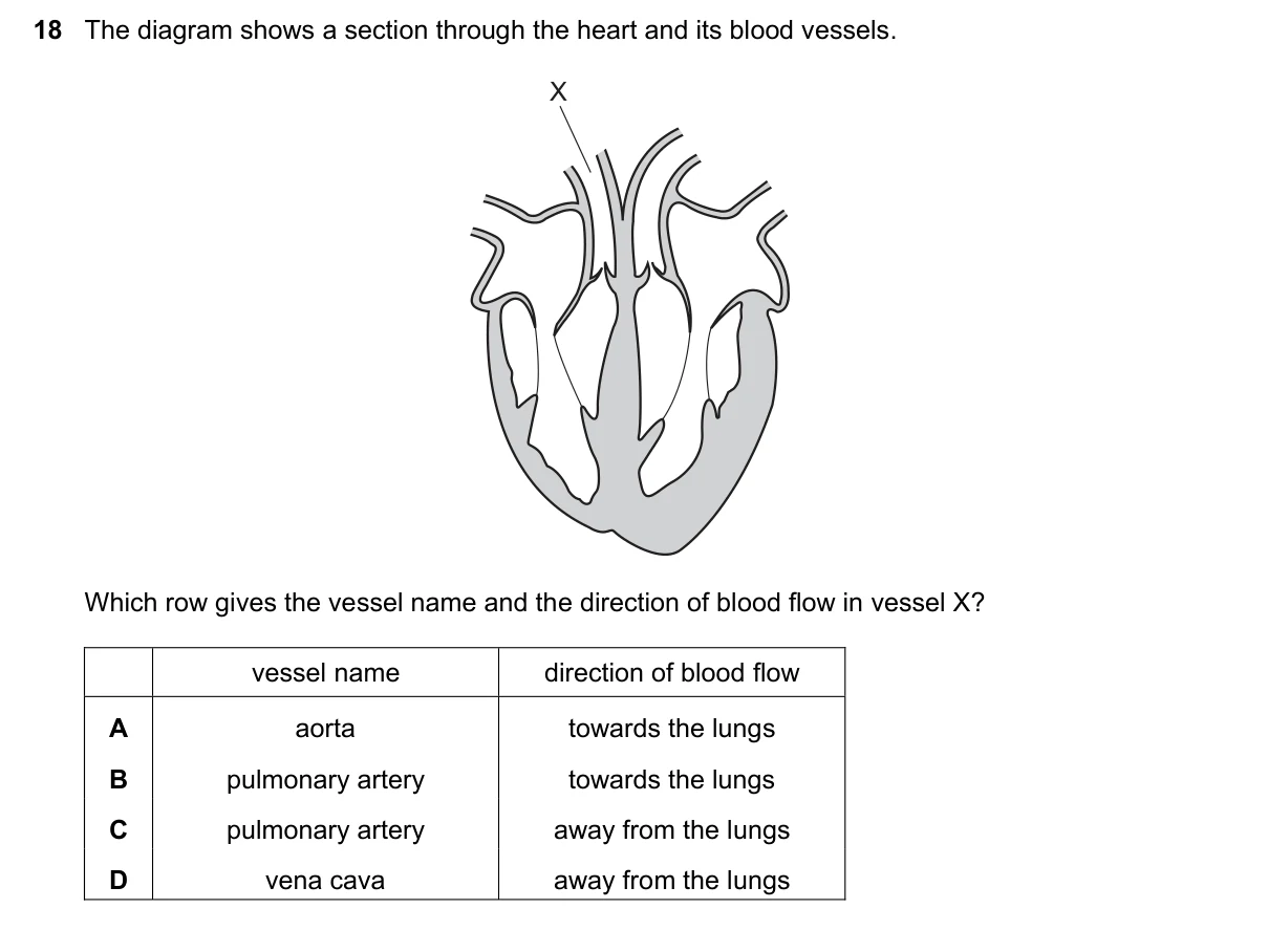 Question 18, June 2020, 0610 Paper 21