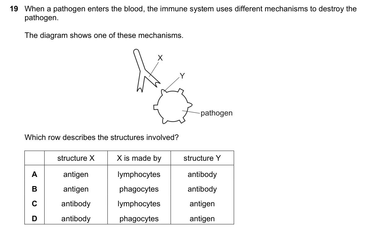 Question 19, June 2020, 0610 Paper 21
