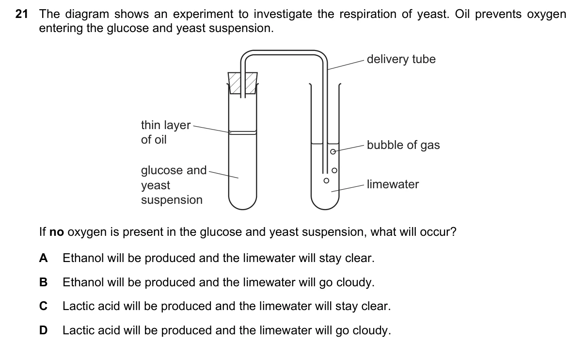 Question 21, June 2020, 0610 Paper 21
