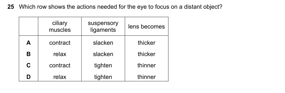 Question 25, June 2020, 0610 Paper 21