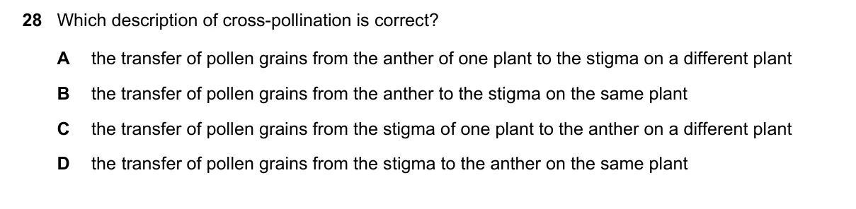 Question 28, June 2020, 0610 Paper 21