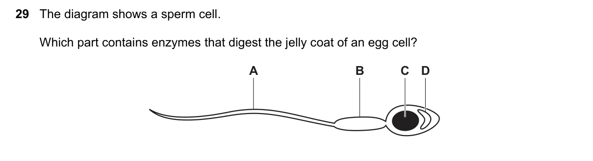Question 29, June 2020, 0610 Paper 21