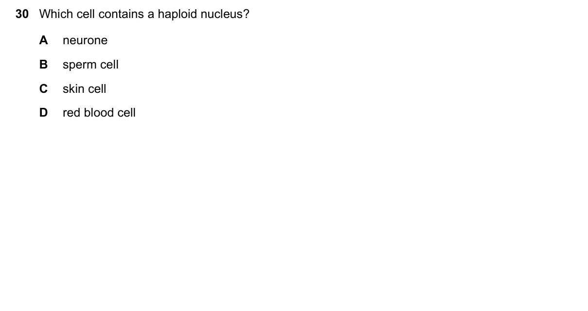 Question 30, June 2020, 0610 Paper 21