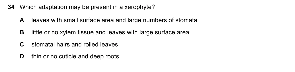 Question 34, June 2020, 0610 Paper 21