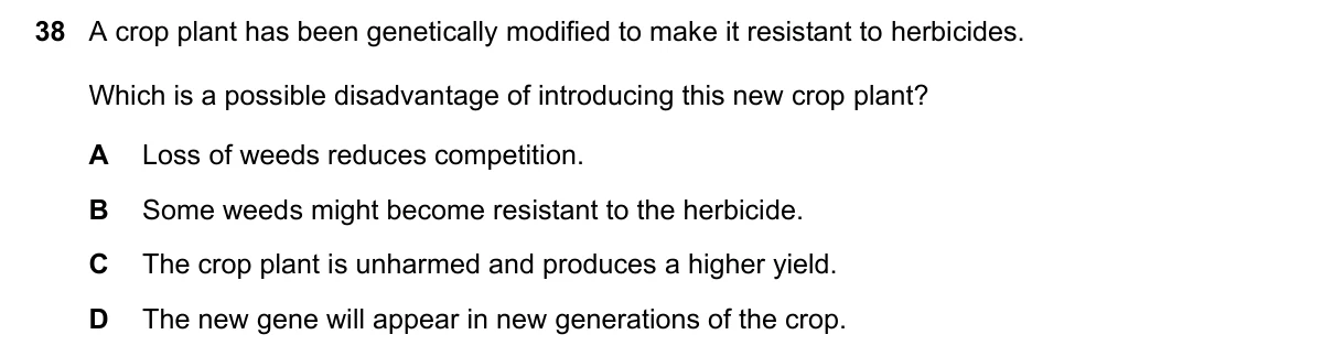 Question 38, June 2020, 0610 Paper 21