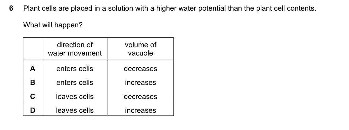 Question 6, June 2020, 0610 Paper 21