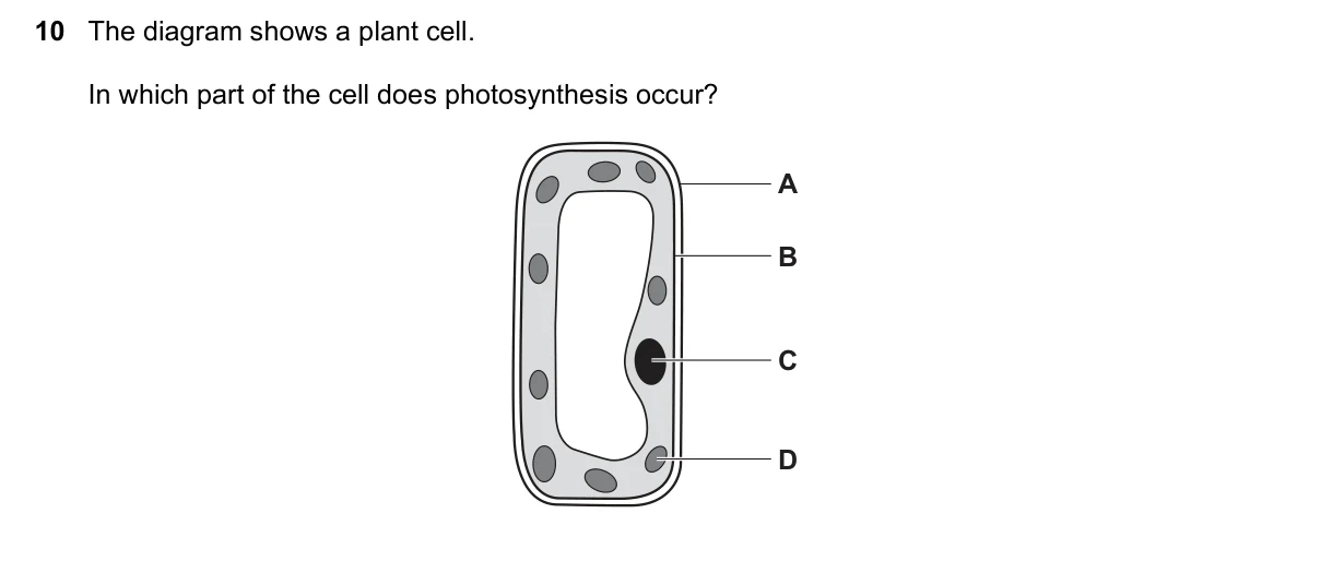 Question 10, June 2020, 0610 Paper 12