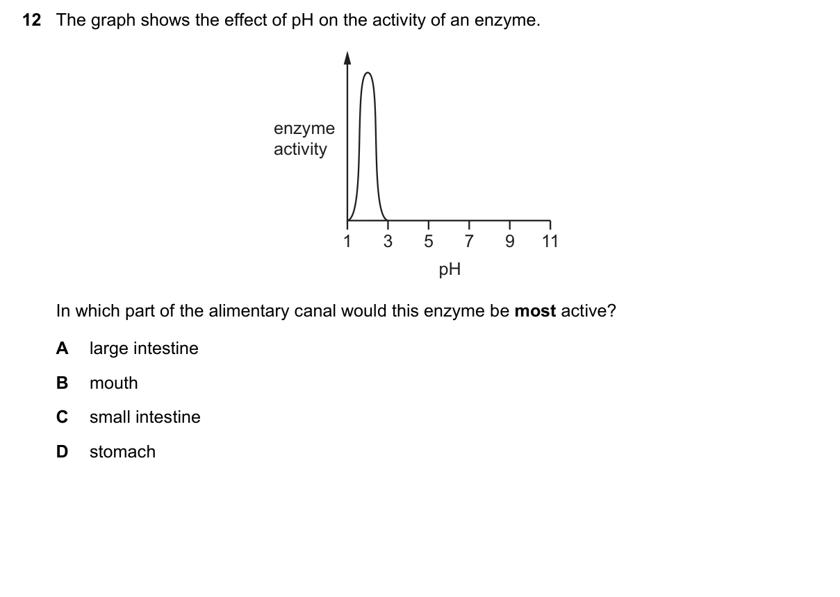 Question 12, June 2020, 0610 Paper 12