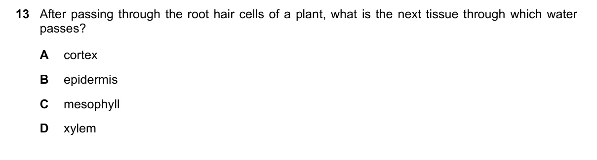 Question 13, June 2020, 0610 Paper 12