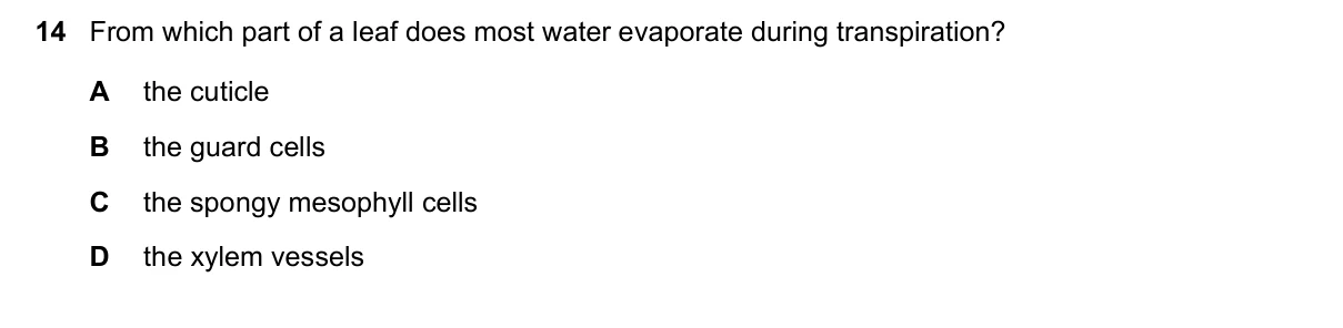 Question 14, June 2020, 0610 Paper 12
