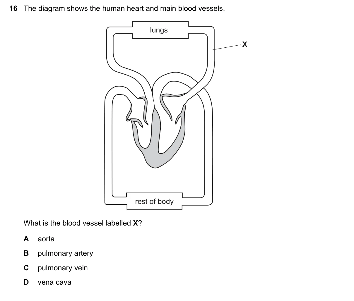 Question 16, June 2020, 0610 Paper 12