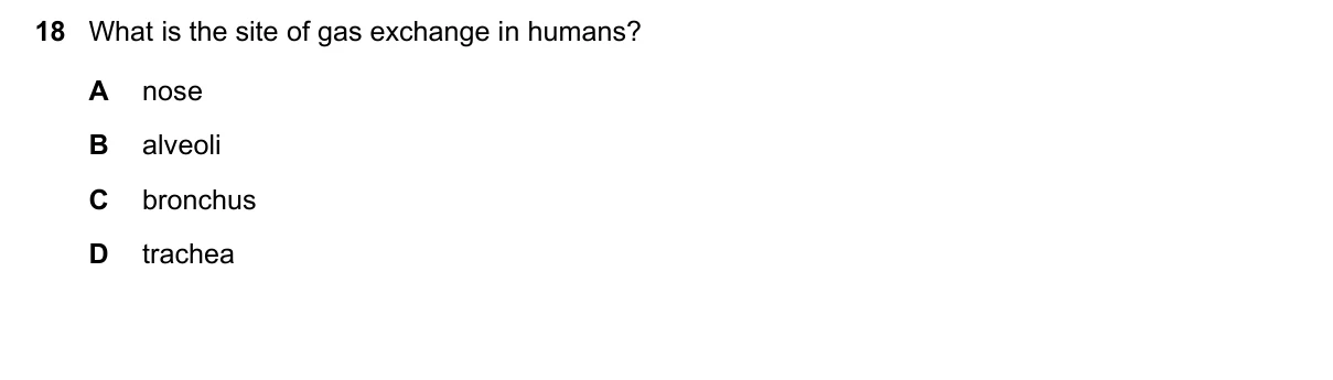 Question 18, June 2020, 0610 Paper 12