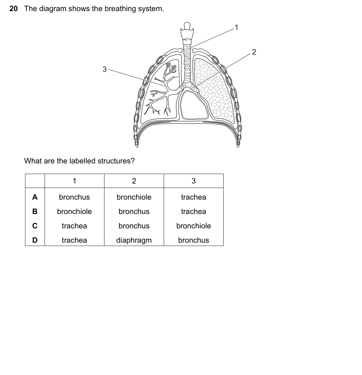Question 20, June 2020, 0610 Paper 12