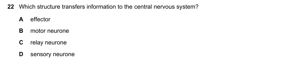 Question 22, June 2020, 0610 Paper 12