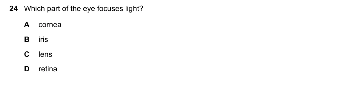 Question 24, June 2020, 0610 Paper 12
