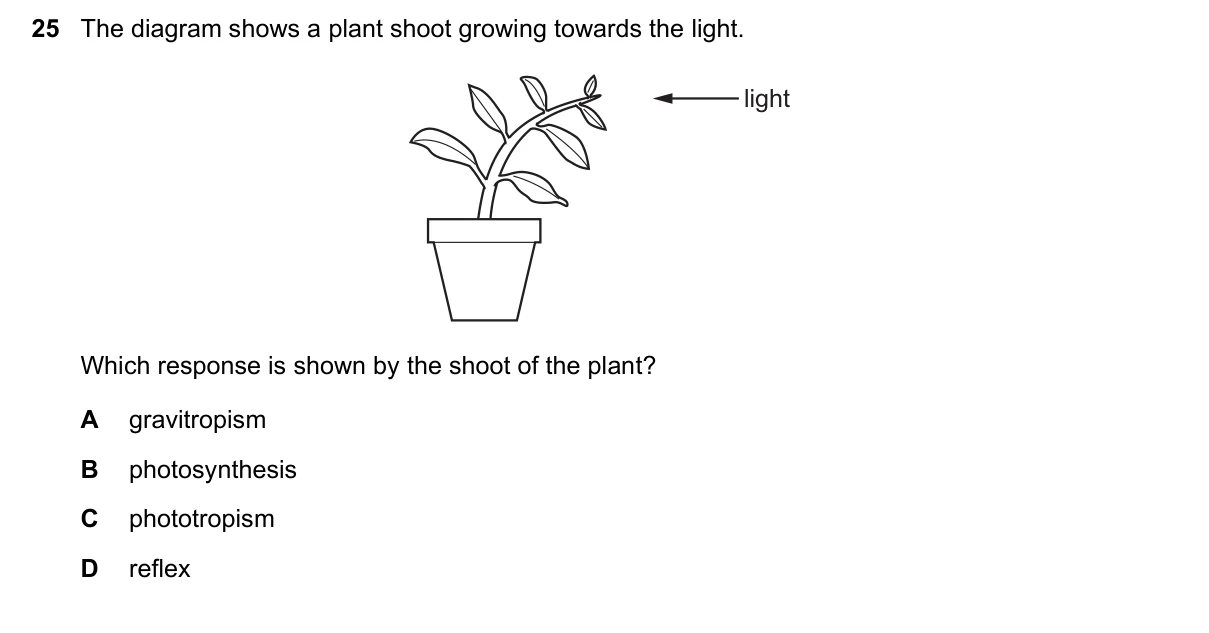 Question 25, June 2020, 0610 Paper 12