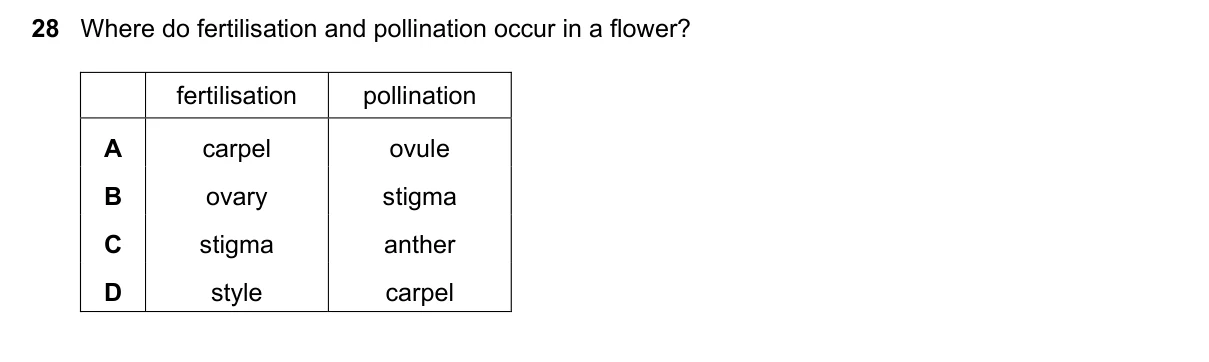 Question 28, June 2020, 0610 Paper 12