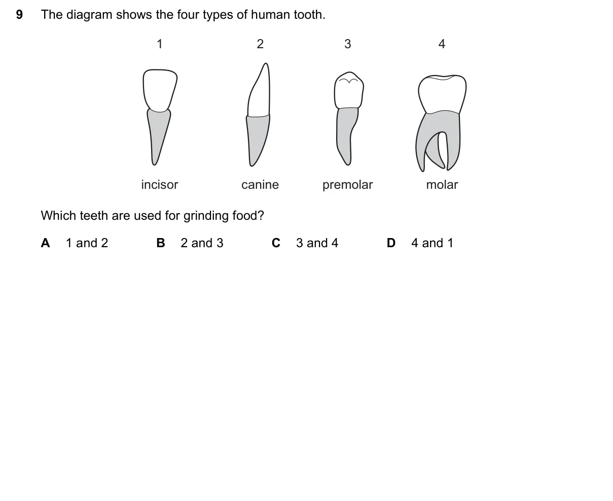 Question 9, June 2020, 0610 Paper 12