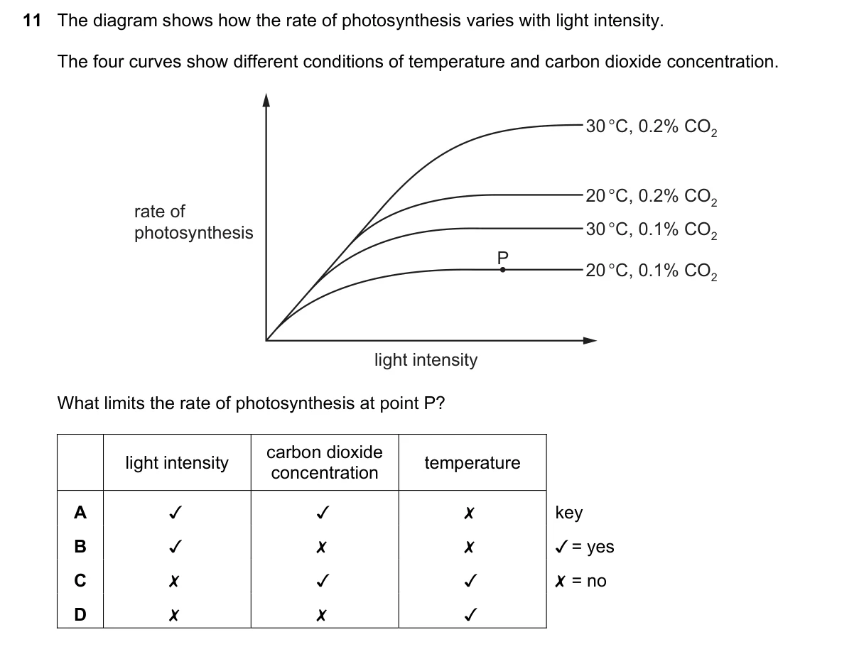 Question 11, June 2020, 0610 Paper 22