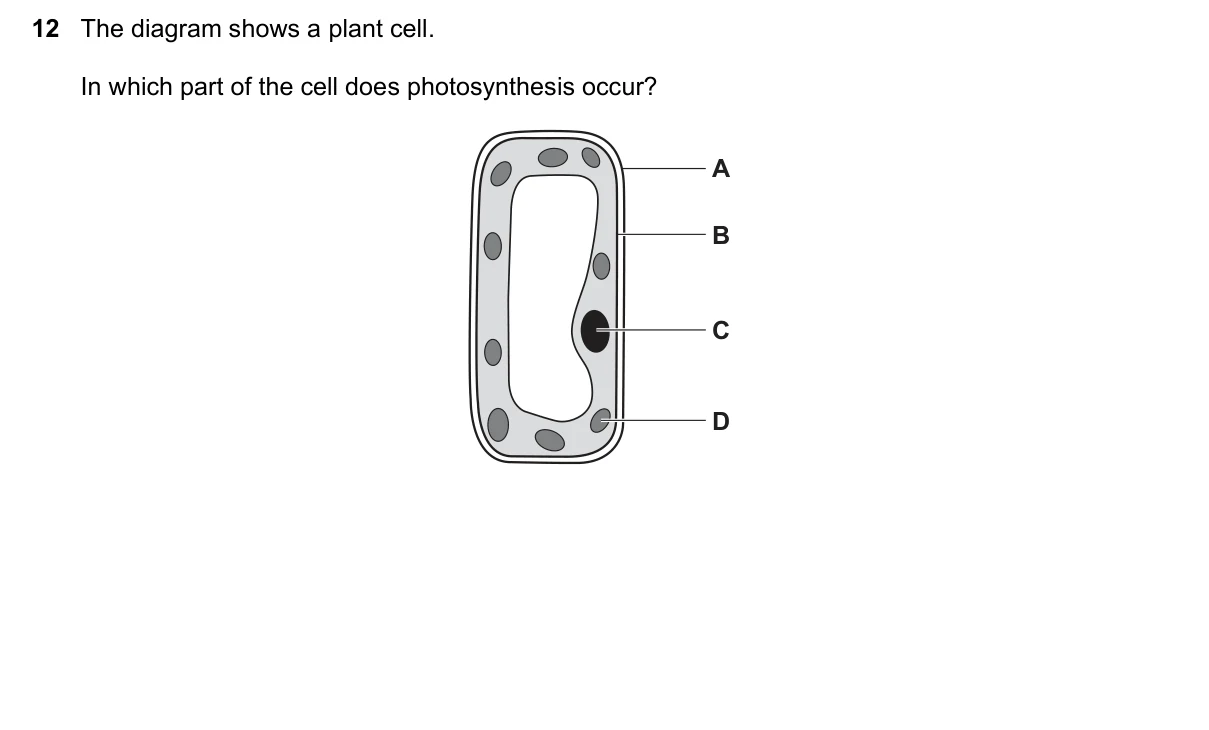 Question 12, June 2020, 0610 Paper 22