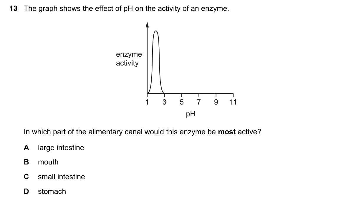 Question 13, June 2020, 0610 Paper 22