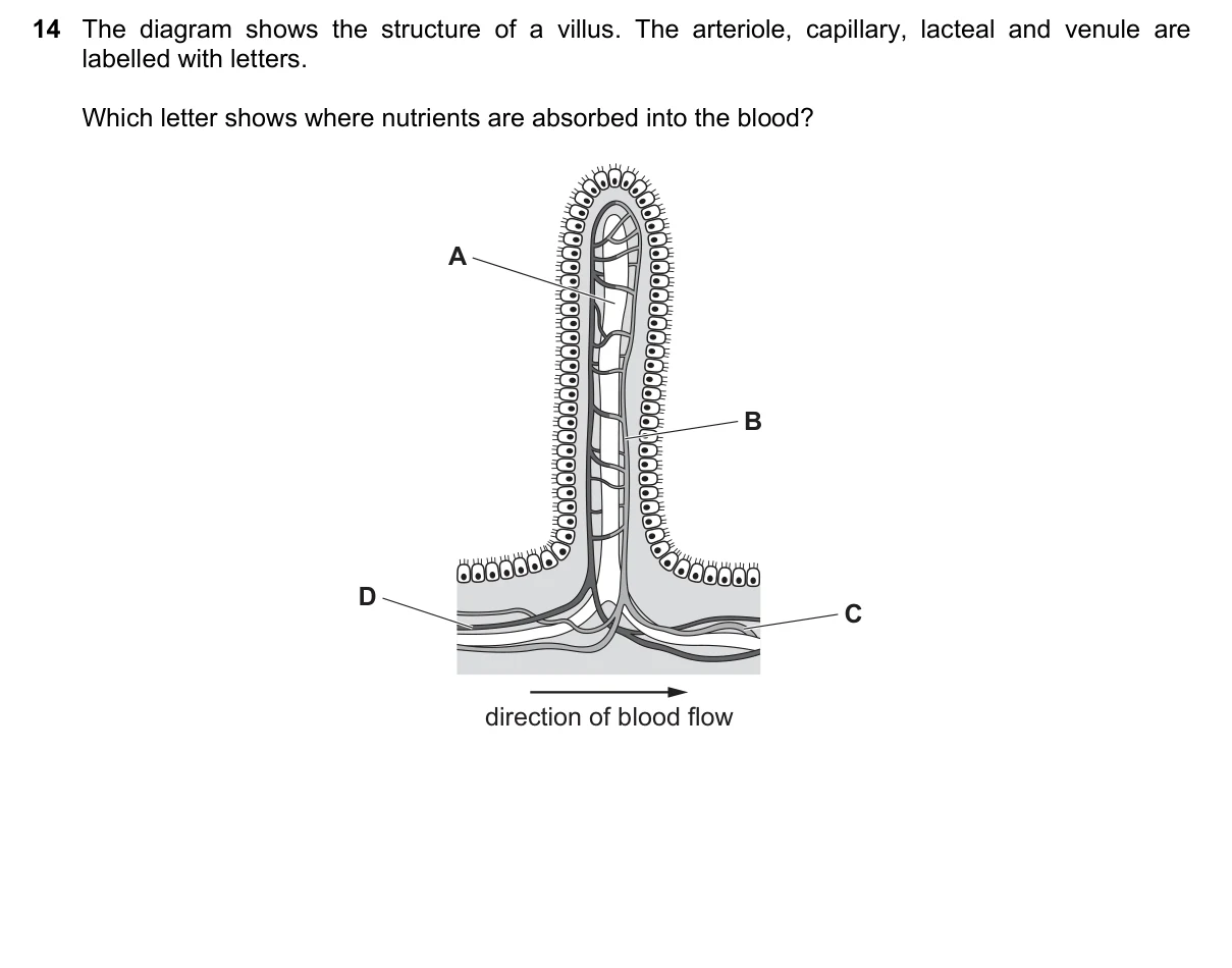 Question 14, June 2020, 0610 Paper 22