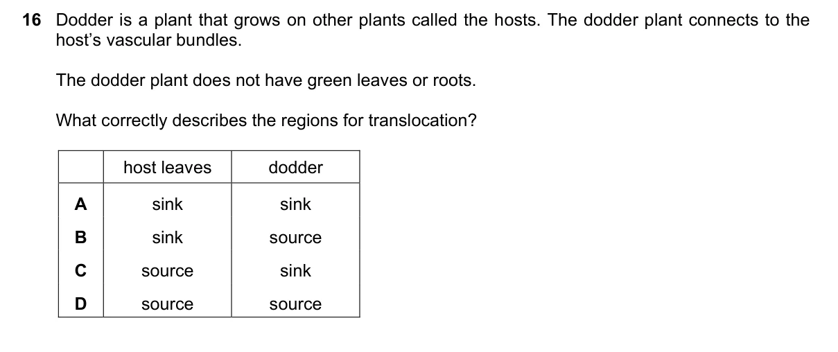Question 16, June 2020, 0610 Paper 22