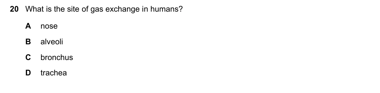 Question 20, June 2020, 0610 Paper 22