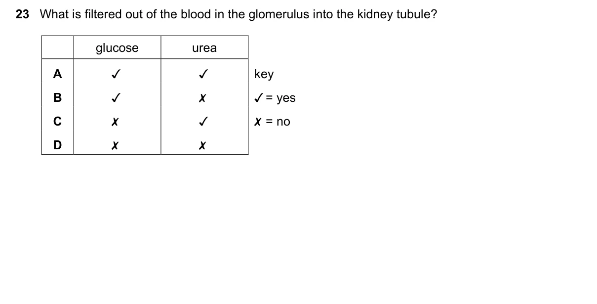 Question 23, June 2020, 0610 Paper 22