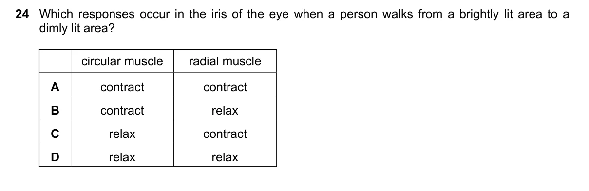 Question 24, June 2020, 0610 Paper 22