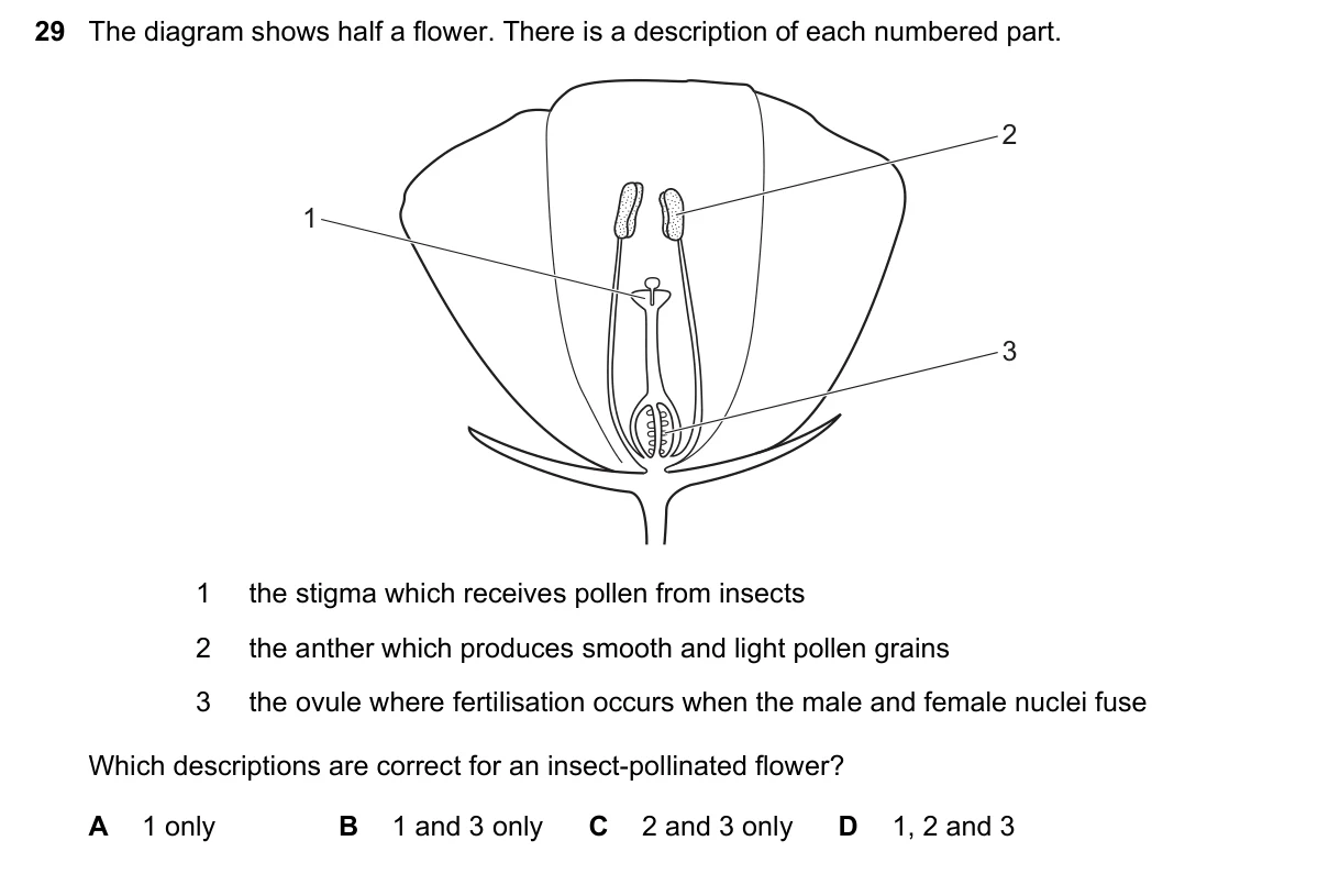 Question 29, June 2020, 0610 Paper 22