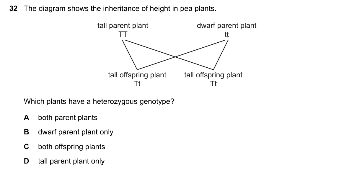 Question 32, June 2020, 0610 Paper 22