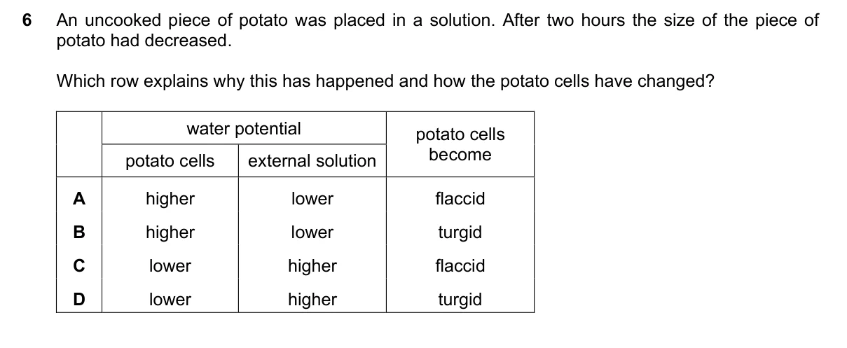 Question 6, June 2020, 0610 Paper 22