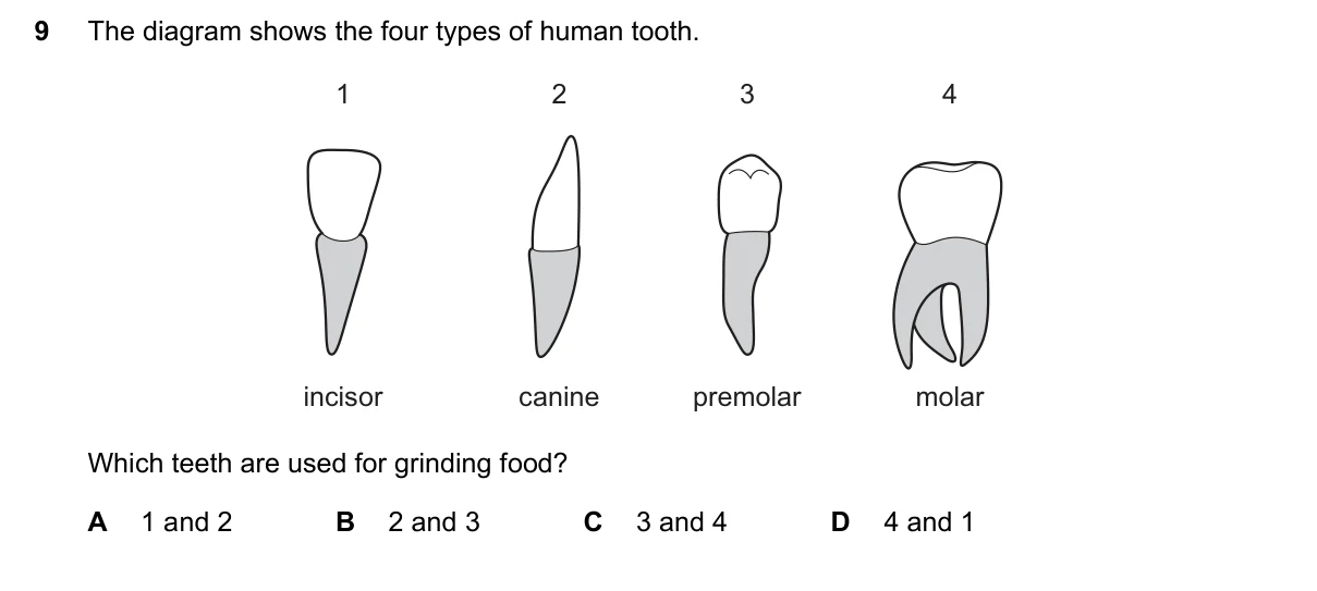 Question 9, June 2020, 0610 Paper 22