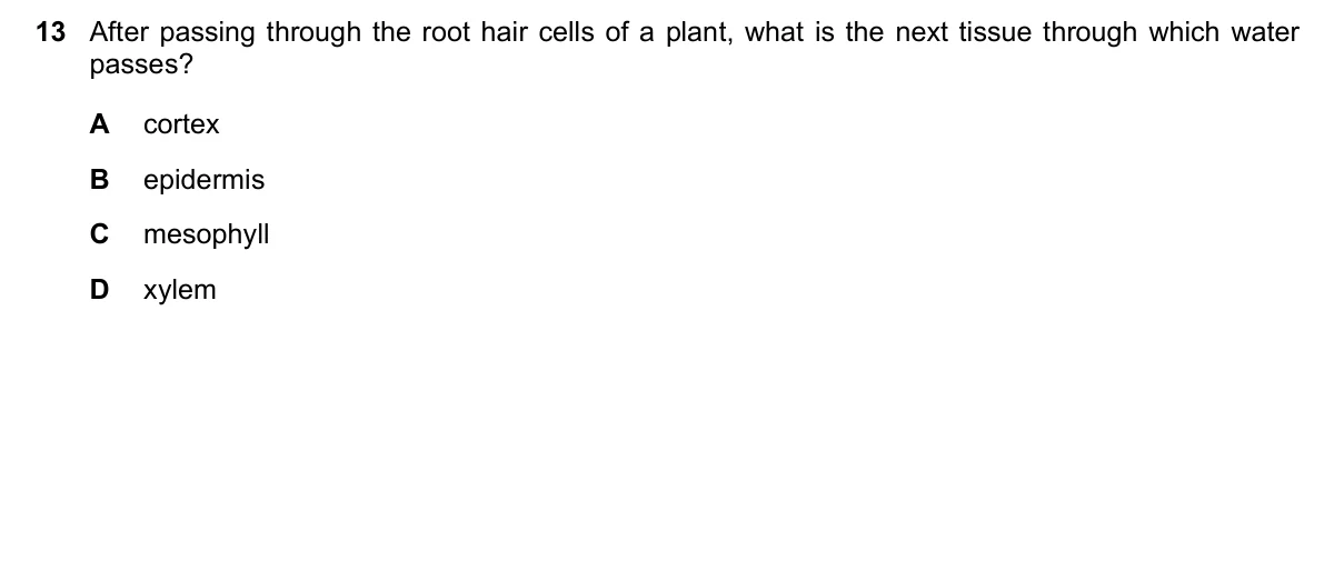 Question 13, June 2020, 0610 Paper 13