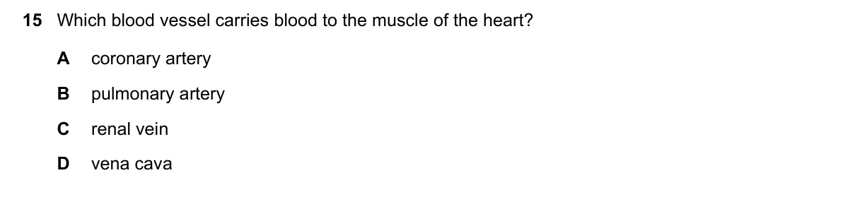 Question 15, June 2020, 0610 Paper 13
