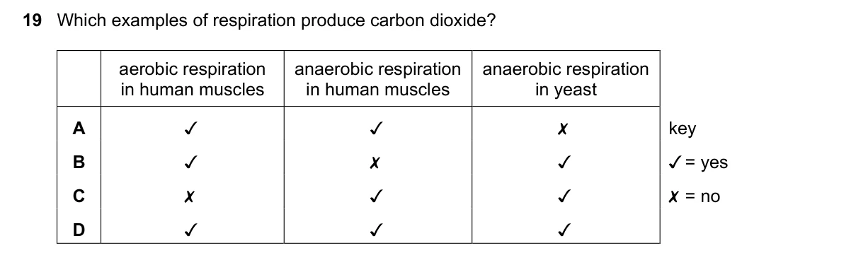 Question 19, June 2020, 0610 Paper 13